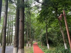 -莫干山风景区