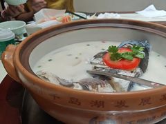 -全乐鱼馆·淳牌有机鱼直营店
