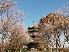 -上海海湾国家森林公园