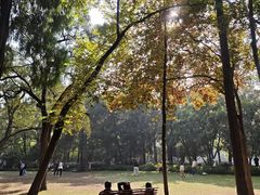 -汇龙潭