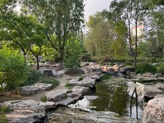 -莲花池公园