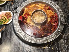 -杨肥肠火锅大排档(火车站花园店)