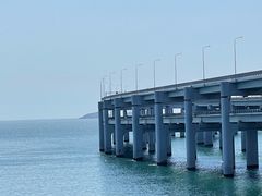 -星海湾跨海大桥