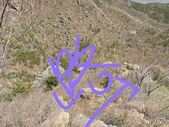 -鹫峰国家森林公园