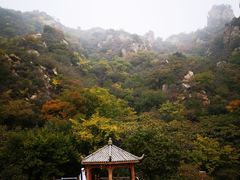 -大岭沟猕猴桃谷风景区