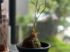 -湘路·湖南钵子菜·宴请(石龙仔店)