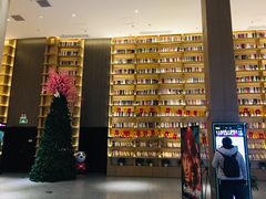 -深影国际影城(学院南路店CGS中国巨幕店)