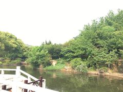 -白马涧龙池景区
