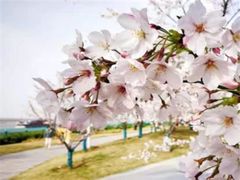 -幕燕滨江·长江观音景区