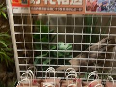 -北李妈妈菜·海肠捞饭(高新万达店)