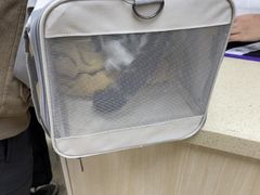 -美联众合动物医院·24h转诊中心
