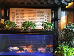 -戴师傅川西坝子(彩泉旗舰店)