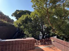 -香港大学