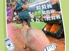 -正佳雨林生态植物园