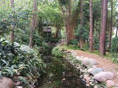 -成都市活水公园