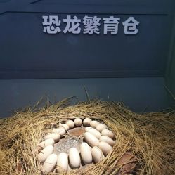 -恐龙探索乐园(磁器口店)