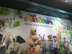 -济州岛泰迪熊博物馆