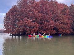 -上海海湾国家森林公园