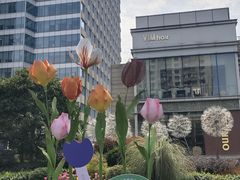 -中海环宇荟