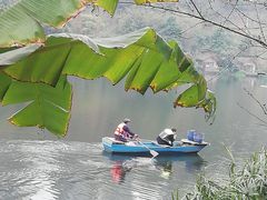 -重庆彩云湖湿地公园