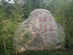 -北京麋鹿生态实验中心
