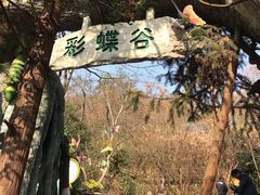 -天目湖山水园