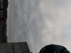 -维格兰雕塑公园