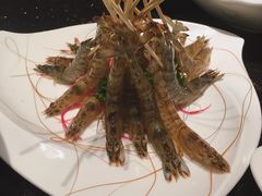 斑节虾-新花城蟹粉馆(乌鲁木齐店)