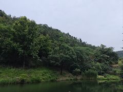 -桃花岭景区