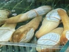 -阿毛饭店首店·宁波老字号(文化广场店)