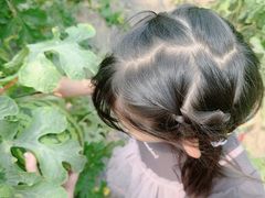 -庞各庄西瓜蔬菜采摘园·锦华瓜园