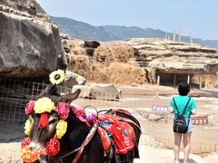 -陕西黄河壶口瀑布旅游区