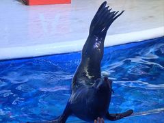 -成都浩海立方海洋公园