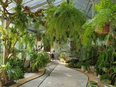 -深圳仙湖植物园