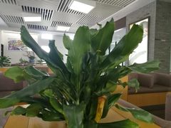 -普陀长途客运中心
