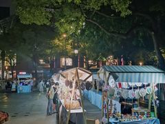 -常州古运河南大街文化旅游区-人民公园