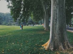 -河南省黄河迎宾馆