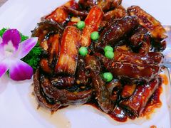 葱烧海参-泰丰楼(前门西大街店)