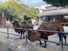 -南昌动物园