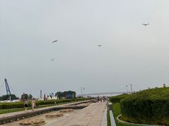 -星海广场