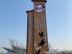 -盐城丹顶鹤湿地生态旅游区