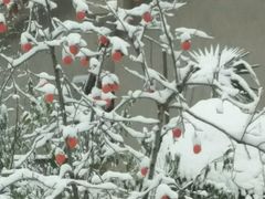 -哆来咪火锅烤肉自助(牌楼店)