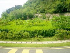 -小南山公园