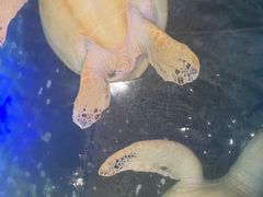 -北国之春国宴(乌兰察布店)