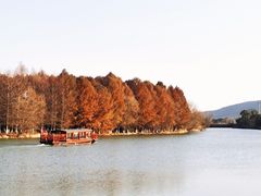 -苏州太湖国家湿地公园