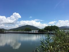 -芒洲湿地公园