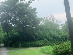 -宝界山林公园