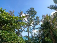 -锦里海景海鲜餐厅.三亚老字号(亚龙湾中心广场店)