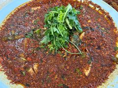 -胖大姐黄辣丁鱼庄(新津店)