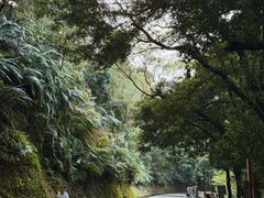 -白云山风景名胜区